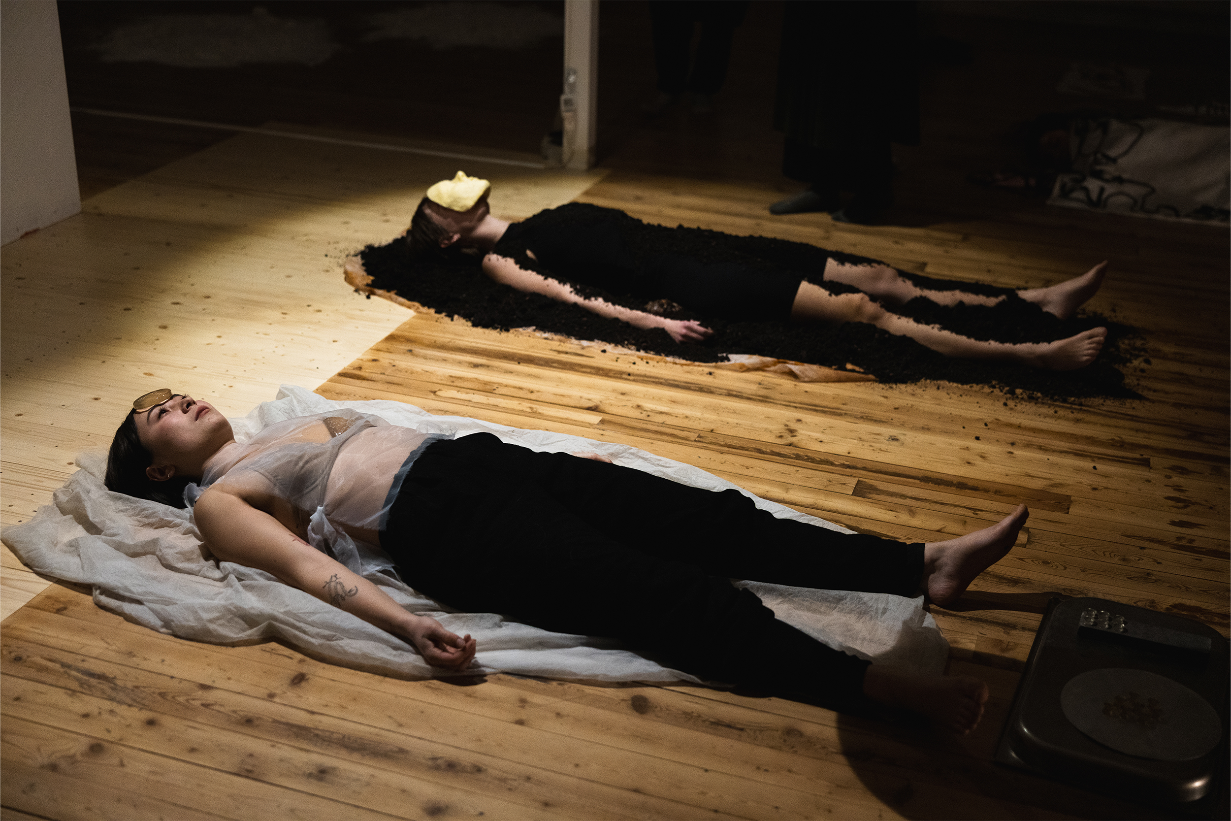 installation view